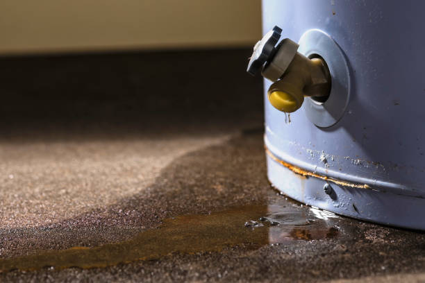 Best Water damage cleanup near me  in Kensington Park, FL
