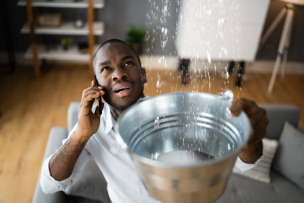 Best Flood restoration services  in Kensington Park, FL
