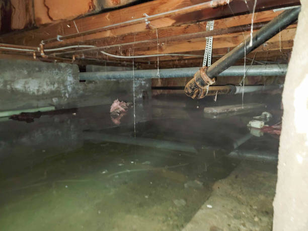 Best Flood restoration services  in Kensington Park, FL