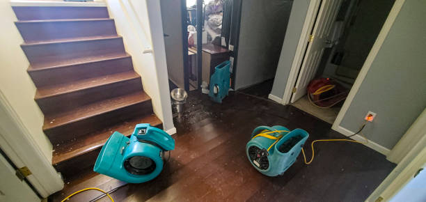 Best Flood damage cleanup  in Kensington Park, FL