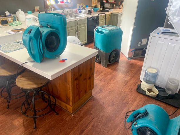 Best Water damage restoration process  in Kensington Park, FL