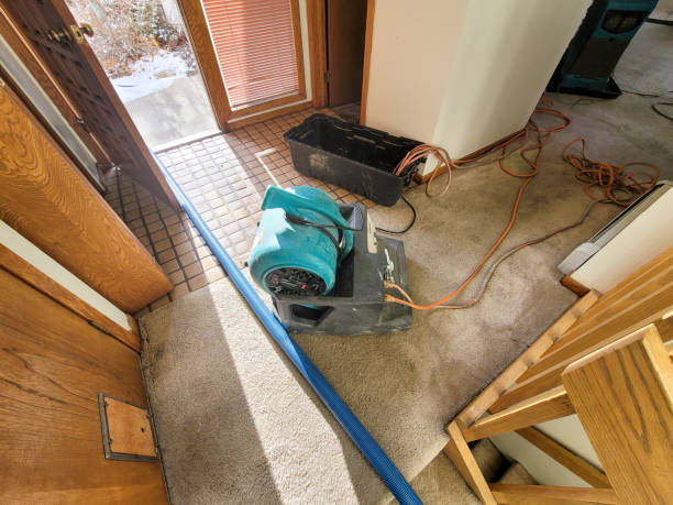 Best Water damage restoration services  in Kensington Park, FL