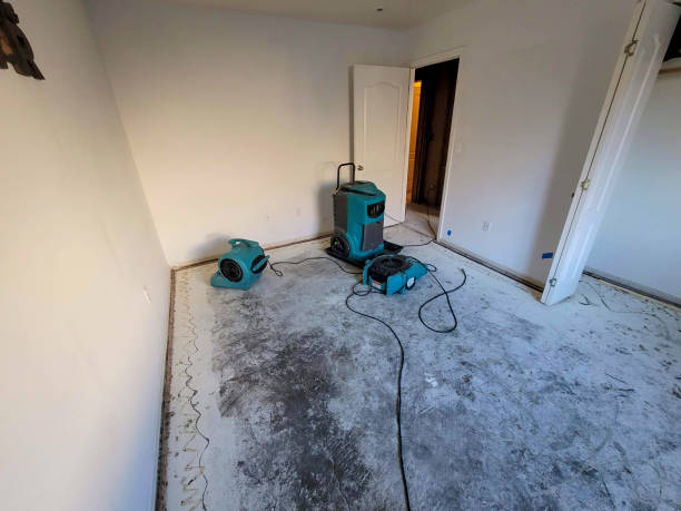  Kensington Park, FL Water damage restoration Pros