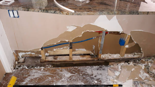 Best Water damage contractors near me  in Kensington Park, FL