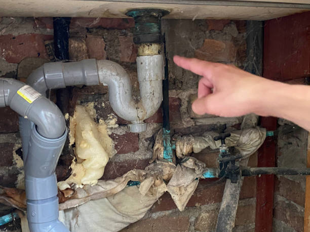 Best Carpet water damage restoration  in Kensington Park, FL