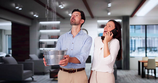 Best Local water damage restoration  in Kensington Park, FL